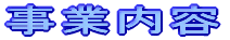 ���Ɠ��e